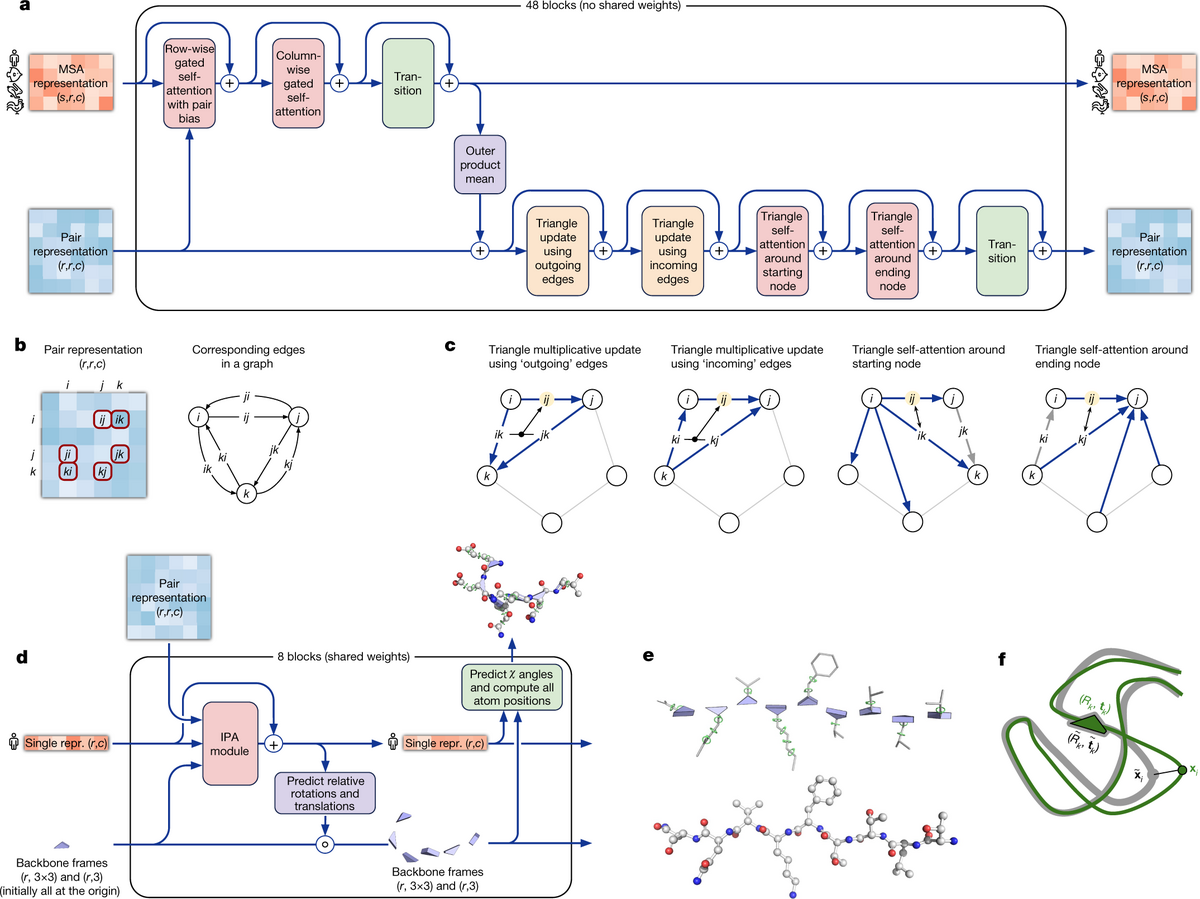 Architecture d'AlphaFold 2 — diagramme technique