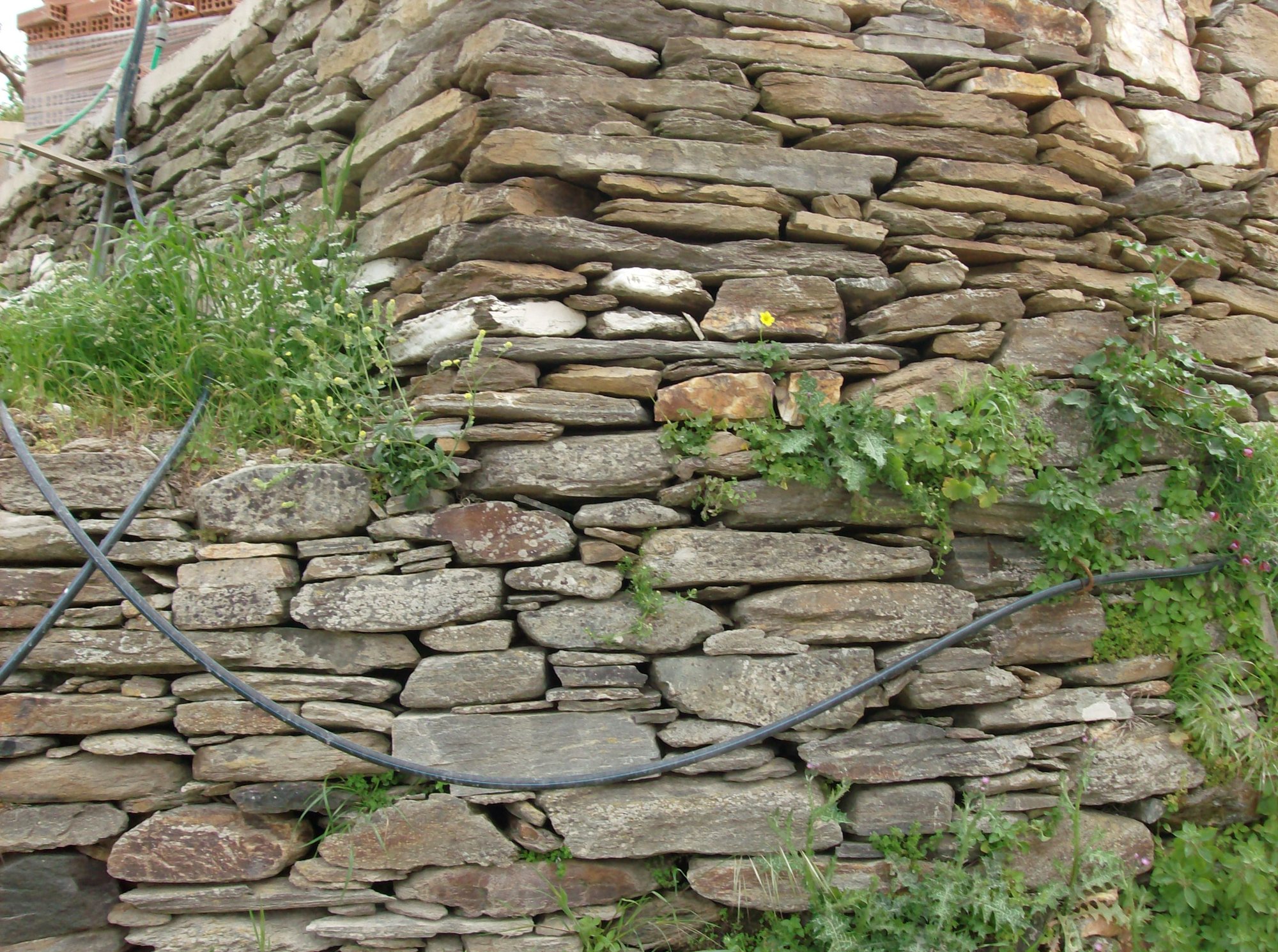 Paysage côtier d'Ikaria, Grèce — île où les habitants cultivent l'art de la lenteur et vivent au-delà de 90 ans