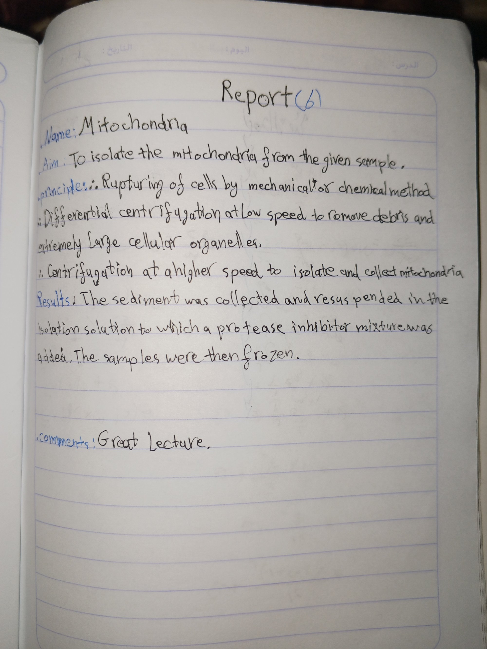 Schema d'une mitochondrie, la centrale energetique de la cellule