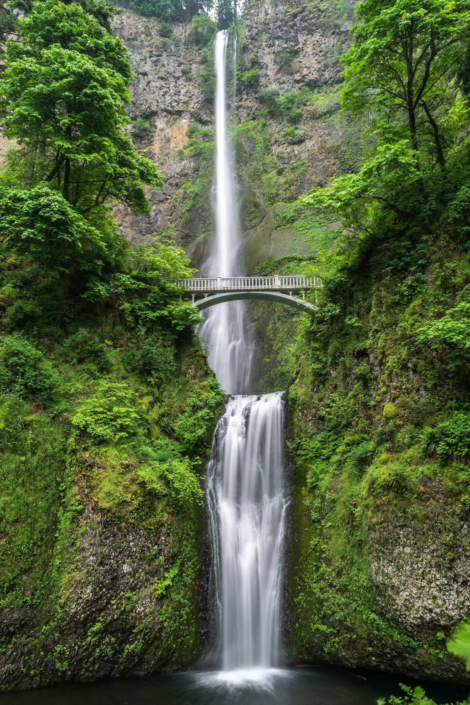 Cascade moussue dans une forêt, symbole de la purification naturelle du corps