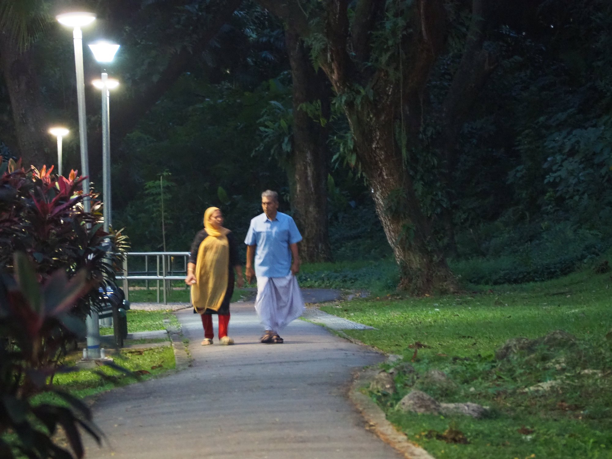 Personnes agees marchant ensemble dans la nature