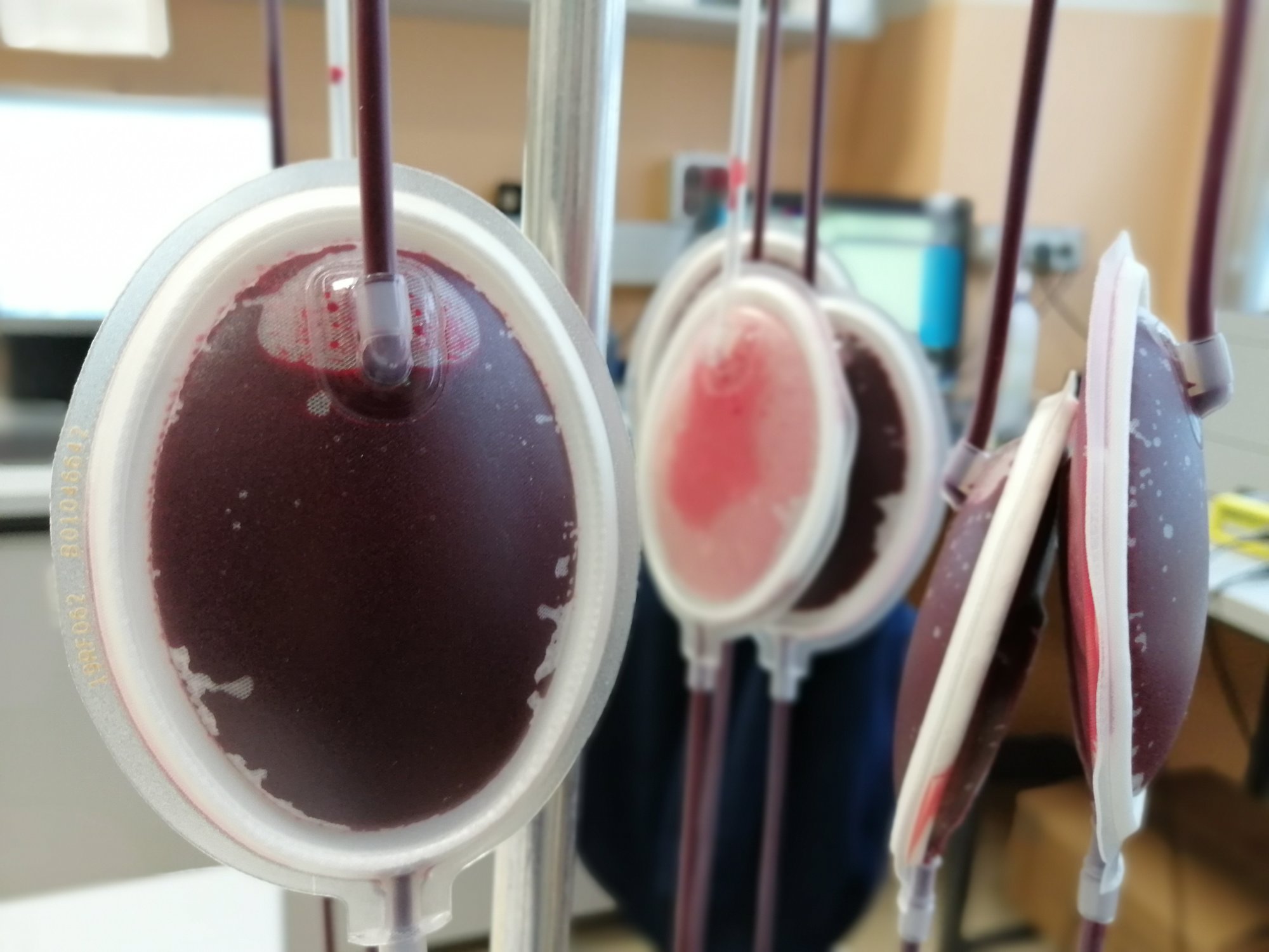 Poches de sang collectees lors d'une campagne de don du sang